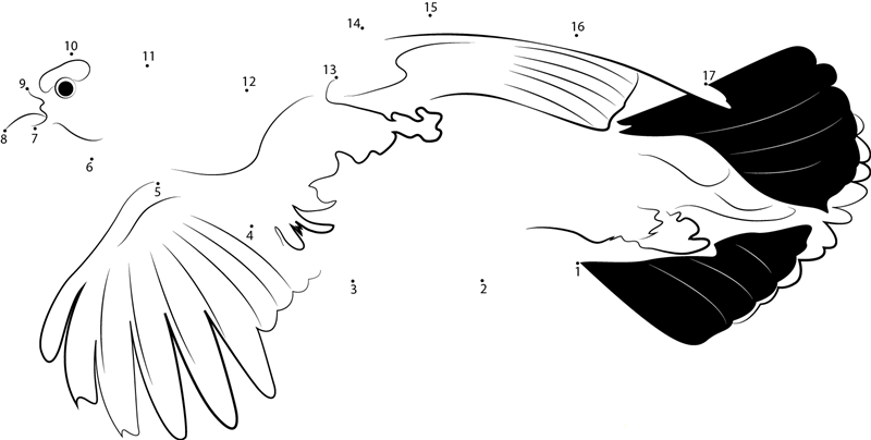 Willow Ptarmigan Flying printable dot to dot worksheet