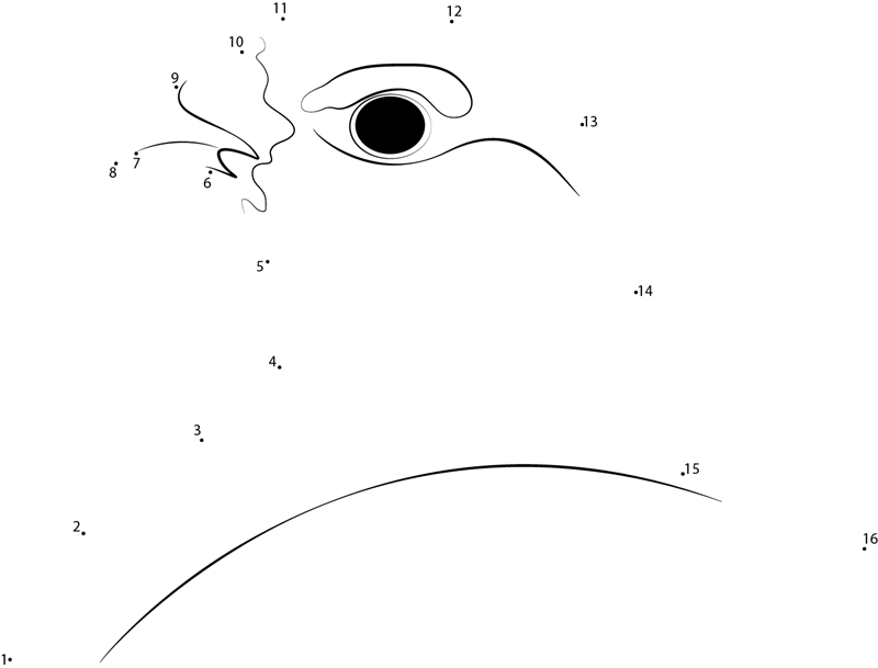 Willow Ptarmigan Head printable dot to dot worksheet