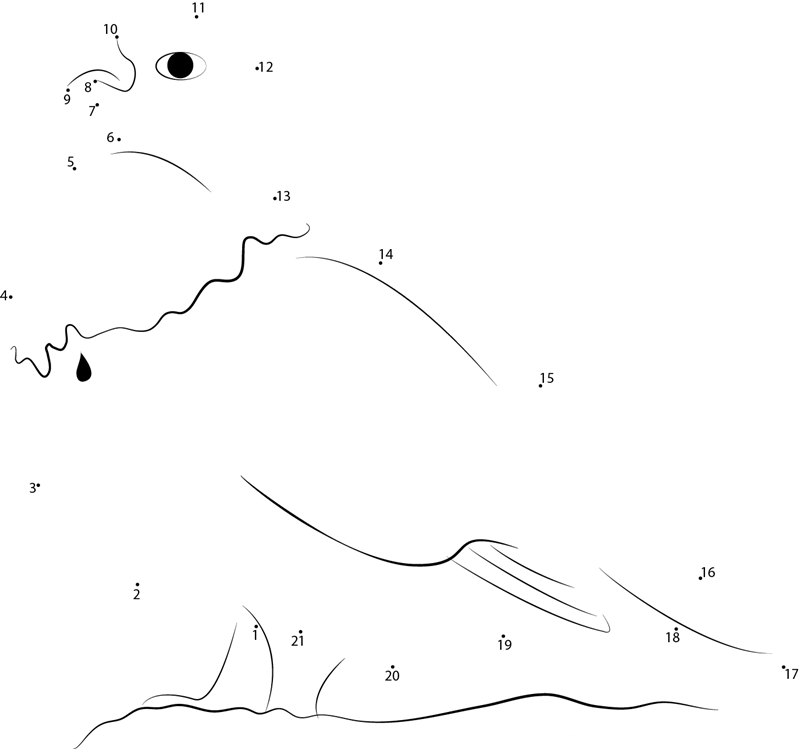 Willow Ptarmigan Lagopus Lagopus printable dot to dot worksheet