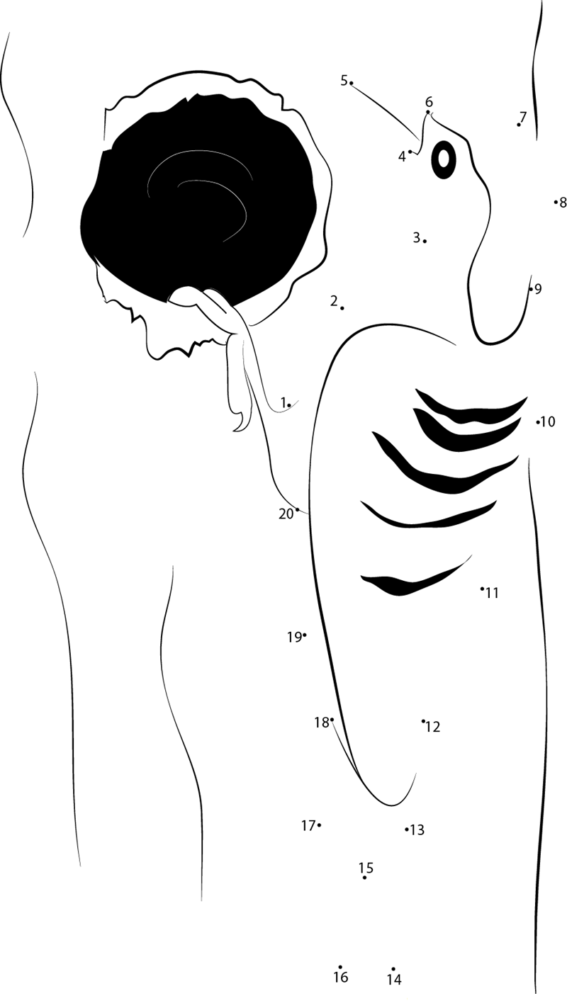 Blue Bellied Woodpecker printable dot to dot worksheet