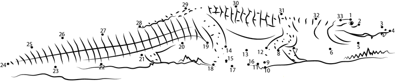 Jacare Caiman dot to dot worksheets