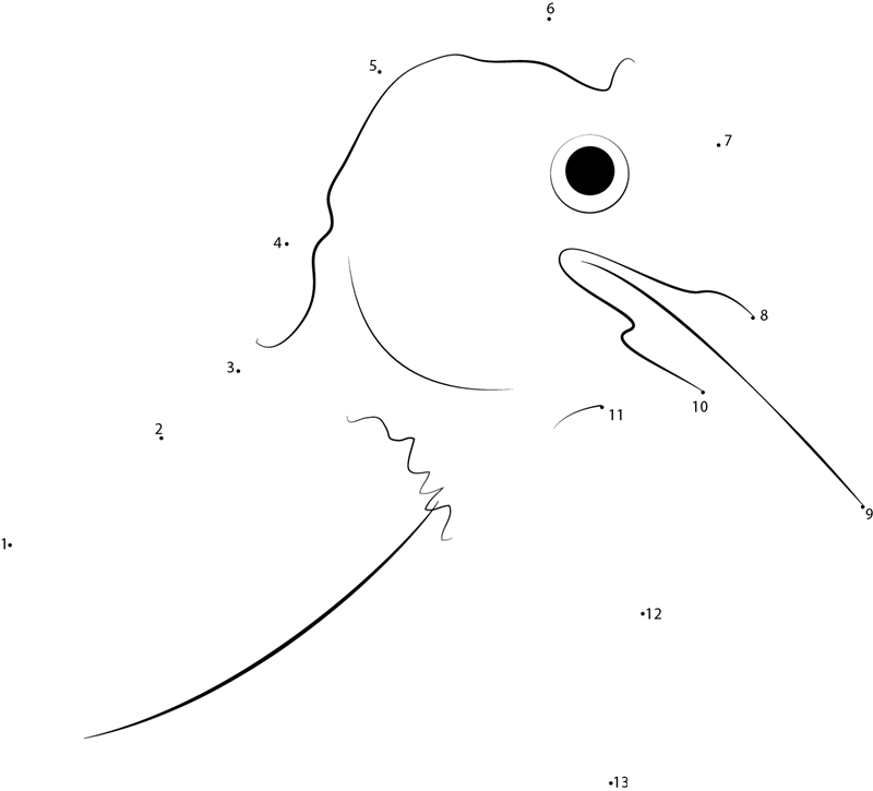 Close Up Of Red Bellied Woodpecker printable dot to dot worksheet