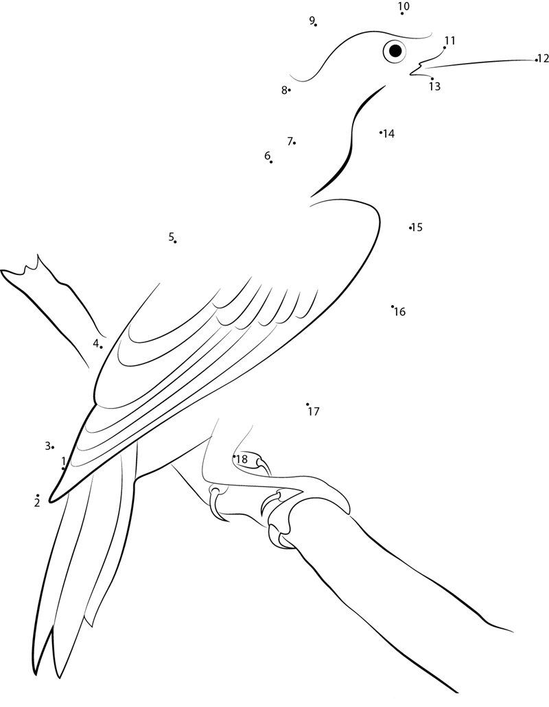 Cute Green Woodpecker printable dot to dot worksheet