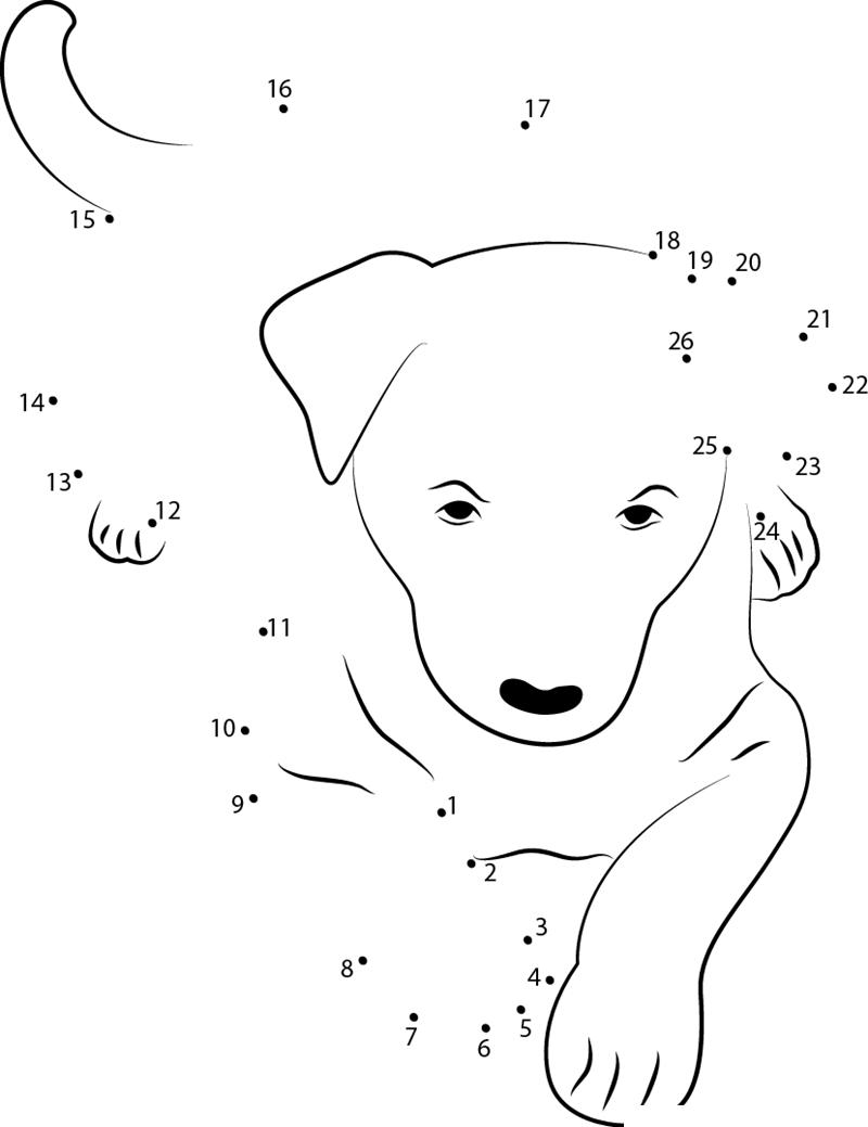 Australian Kelpie dot to dot worksheets