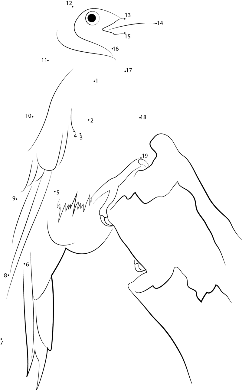 Lewis X27 S Woodpecker printable dot to dot worksheet