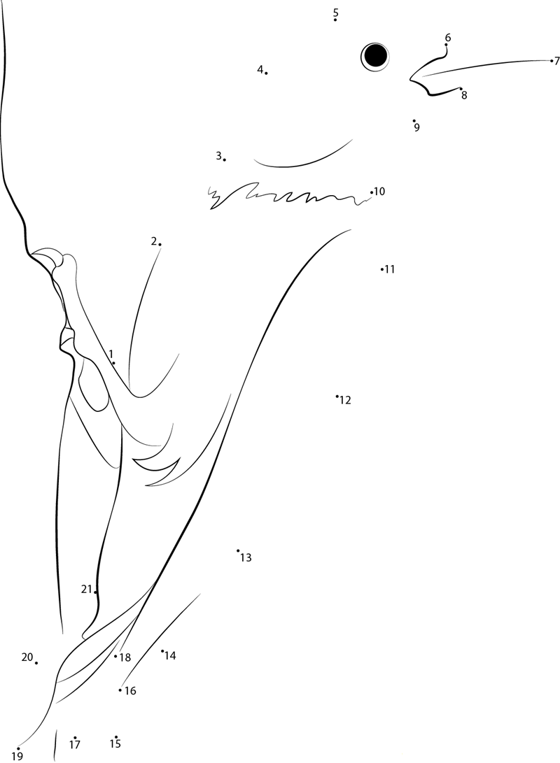 Nice Red Headed Woodpecker dot to dot worksheets