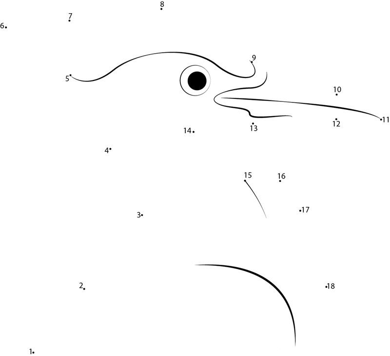 Pileated Woodpecker Head dot to dot worksheets