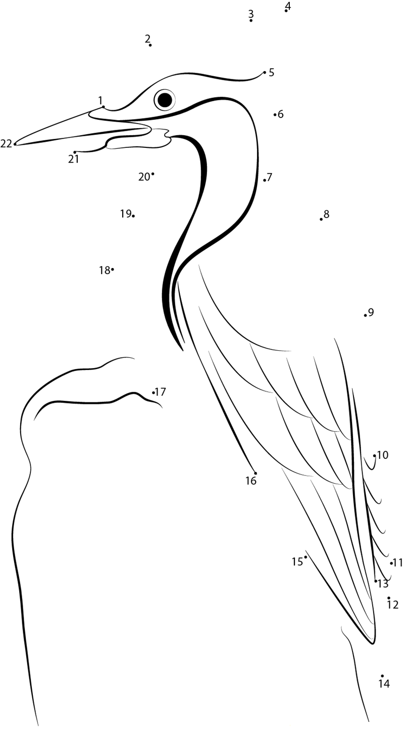 Pileated Woodpecker In North America dot to dot worksheets