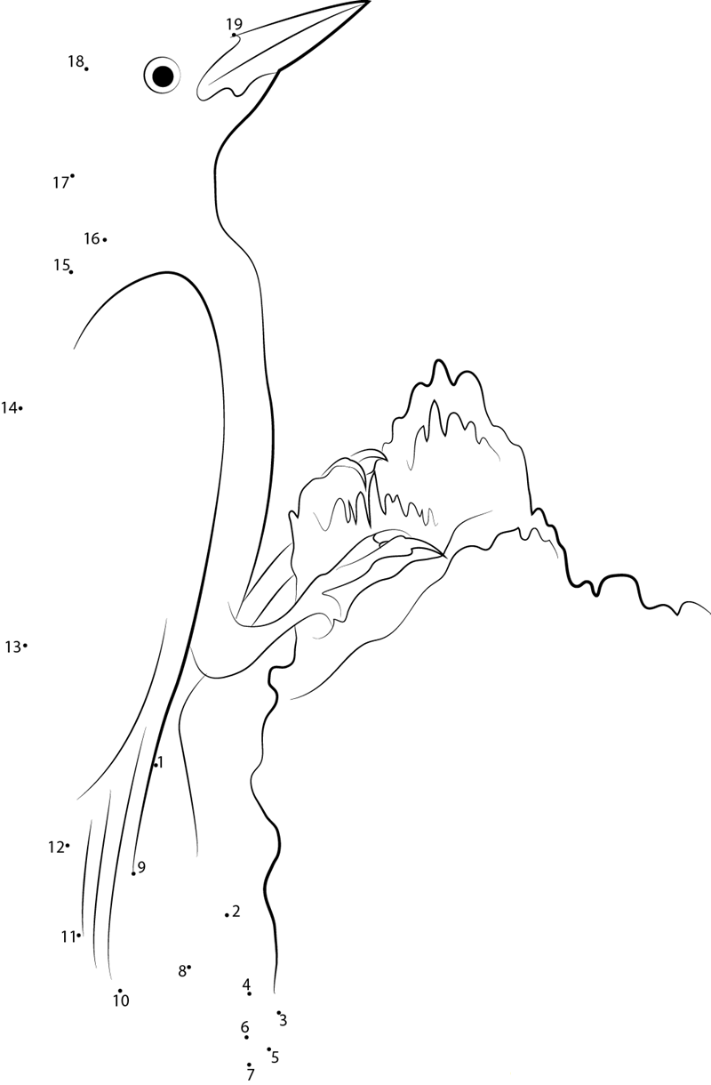 Red Bellied Woodpecker dot to dot worksheets