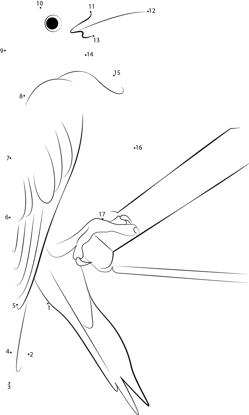 Red Headed Woodpecker dot to dot worksheets