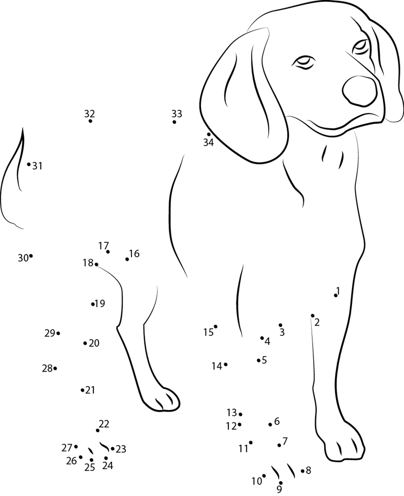 Beagle English Purebred Dog dot to dot worksheets