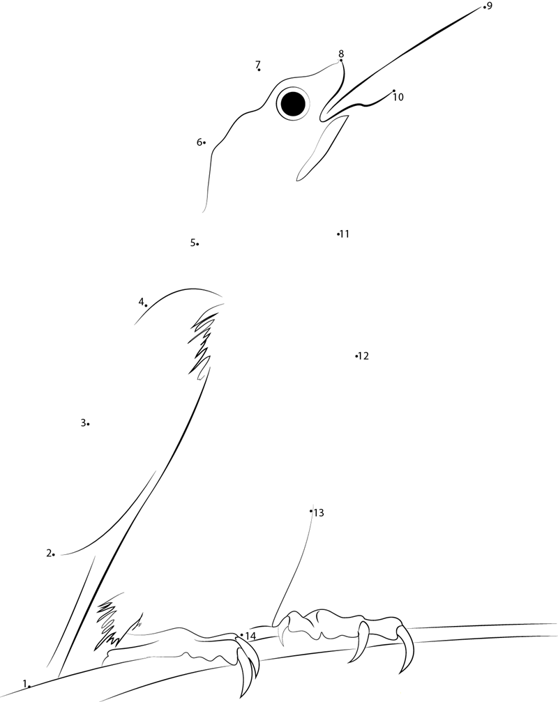 Woodpecker printable dot to dot worksheet