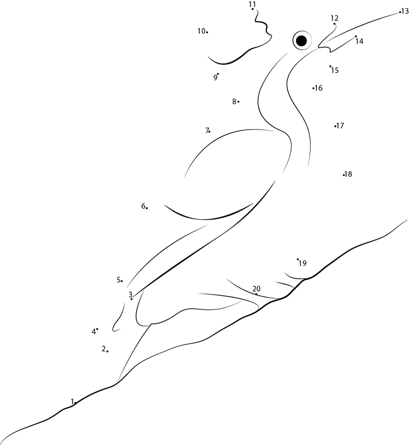 Young Woodpecker printable dot to dot worksheet