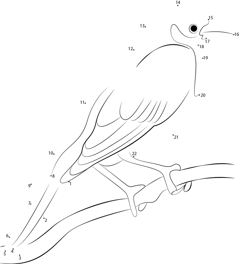 Female Yellowheaded Blackbird dot to dot worksheets