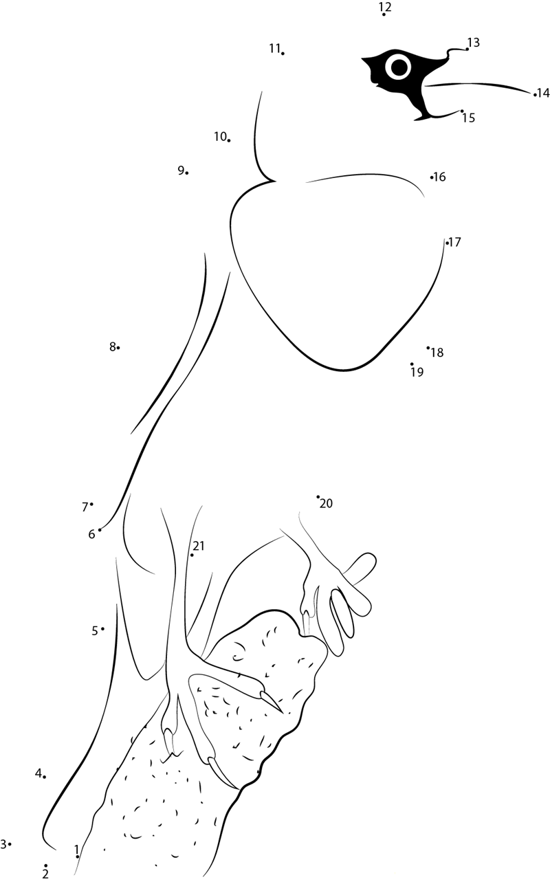 Looking Yellowheaded Blackbird dot to dot worksheets