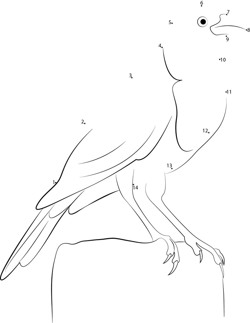 Male Yellowheaded Blackbird dot to dot worksheets