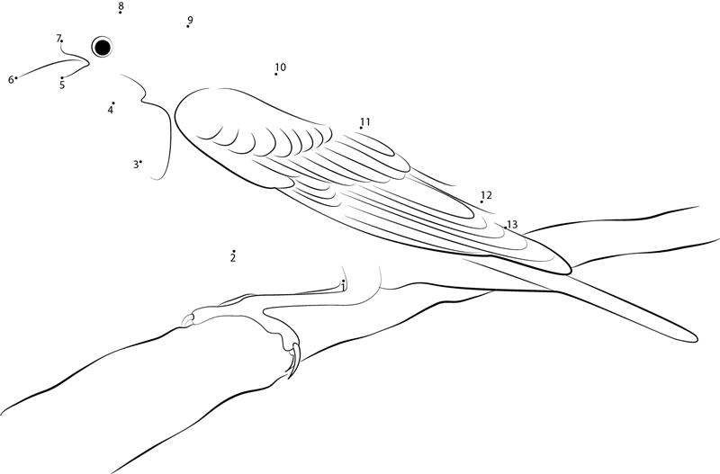 Watching Yellowheaded Blackbird dot to dot worksheets