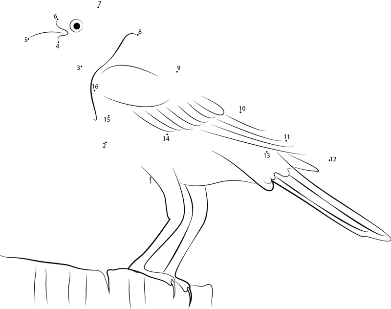 Yellowheaded Blackbird Breeding Male dot to dot worksheets