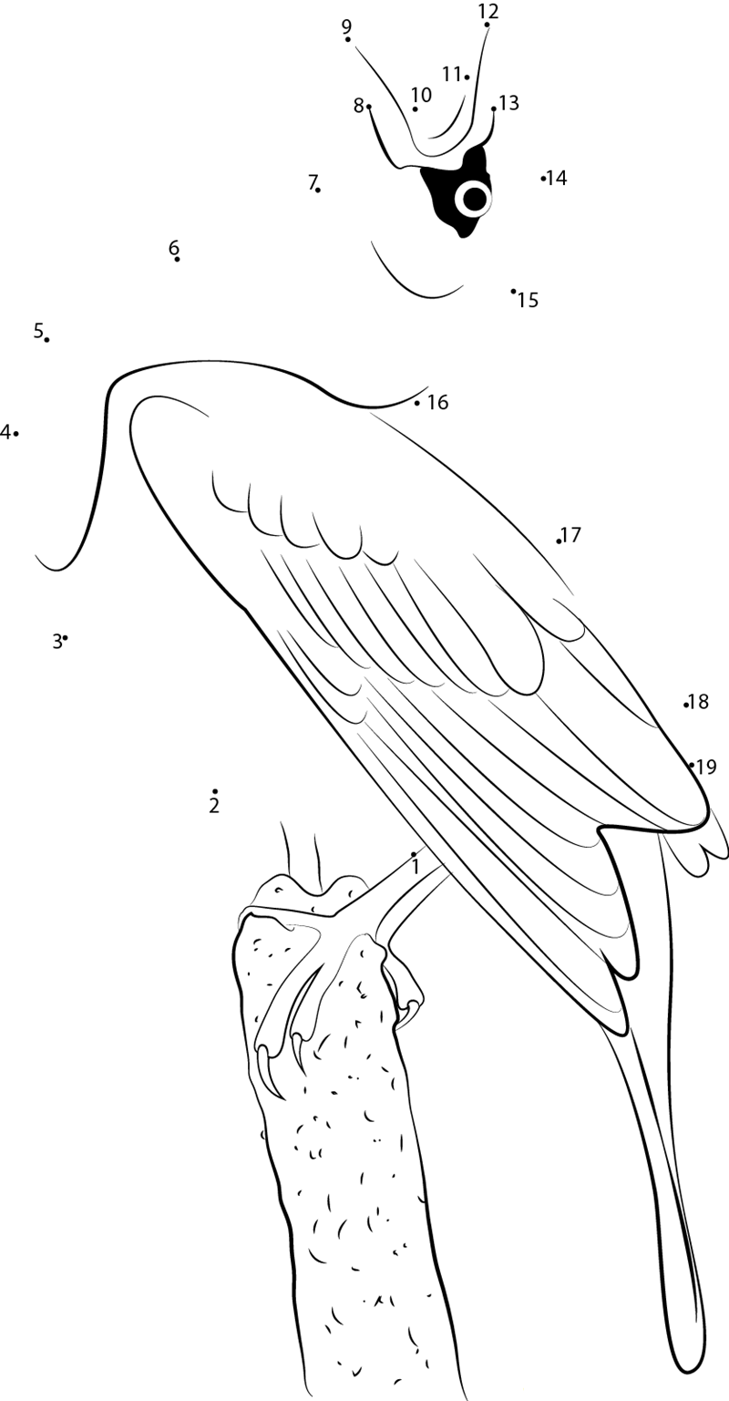 Yellowheaded Blackbird Calling dot to dot worksheets