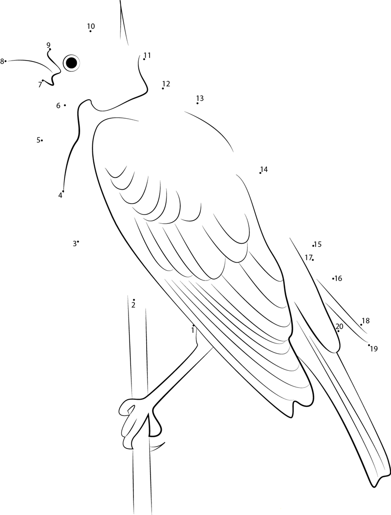 Yellowheaded Blackbird In British Columbia printable dot to dot worksheet