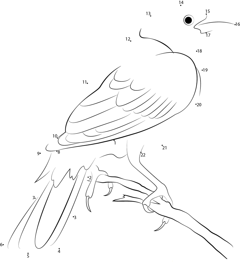 Yellowheaded Blackbird In The Back Area printable dot to dot worksheet