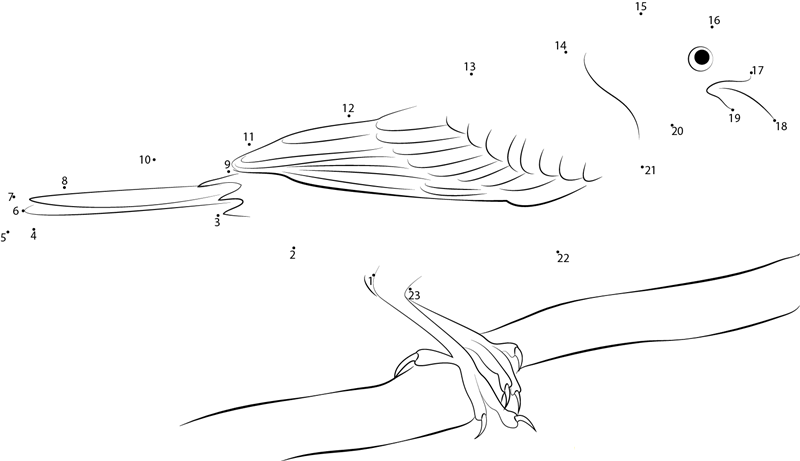 A Yellowhammer dot to dot worksheets