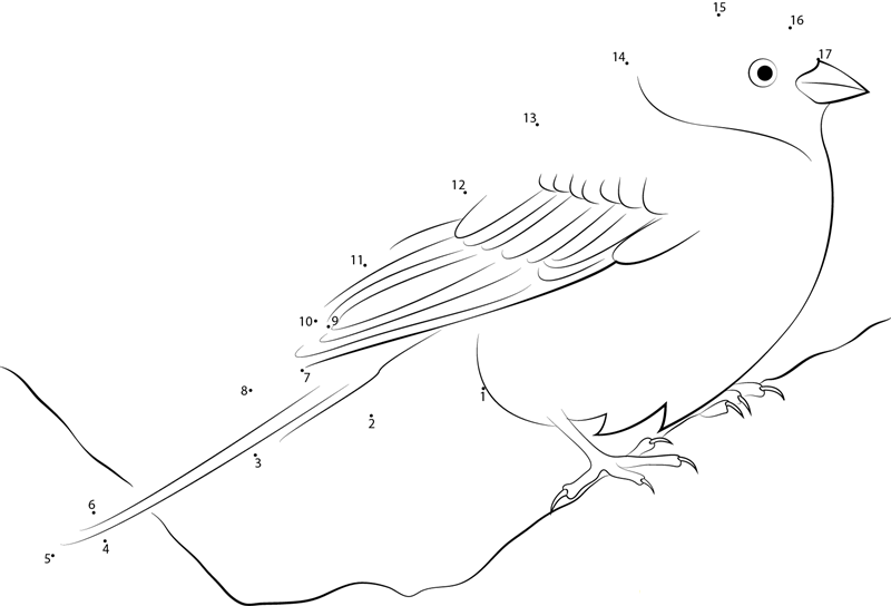 Beautiful Yellowhammer dot to dot worksheets