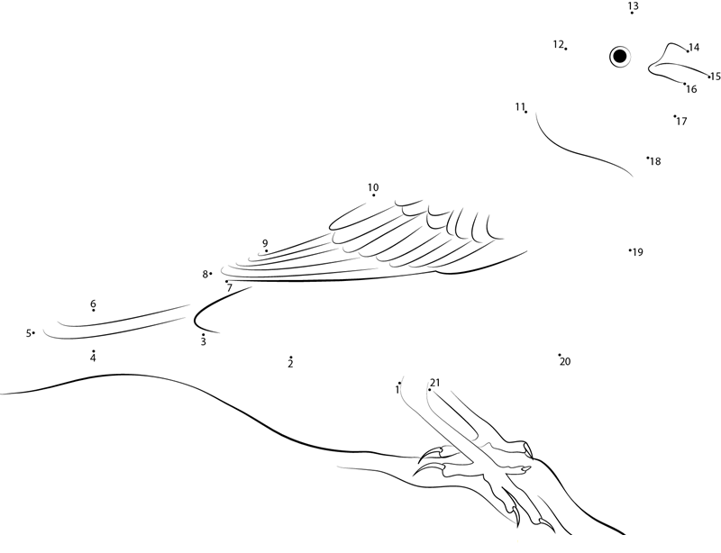 Cute Yellowhammer dot to dot worksheets