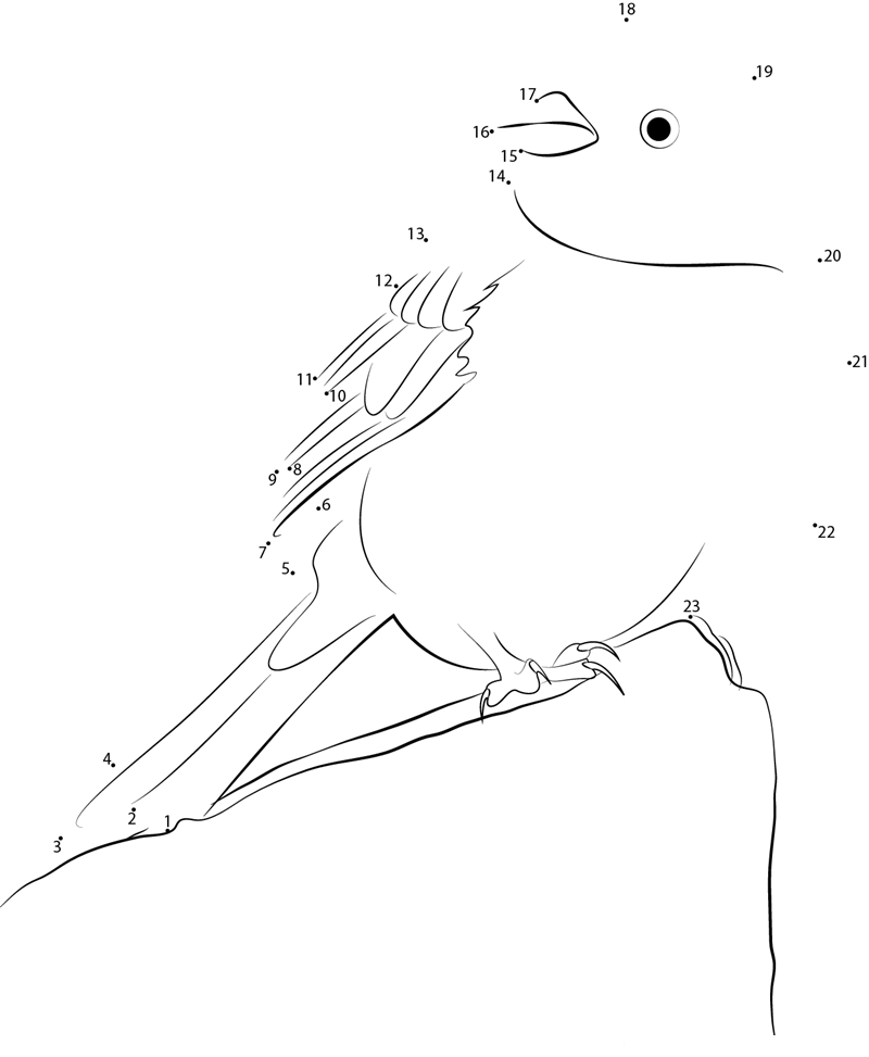 Enjoy Yellowhammer dot to dot worksheets