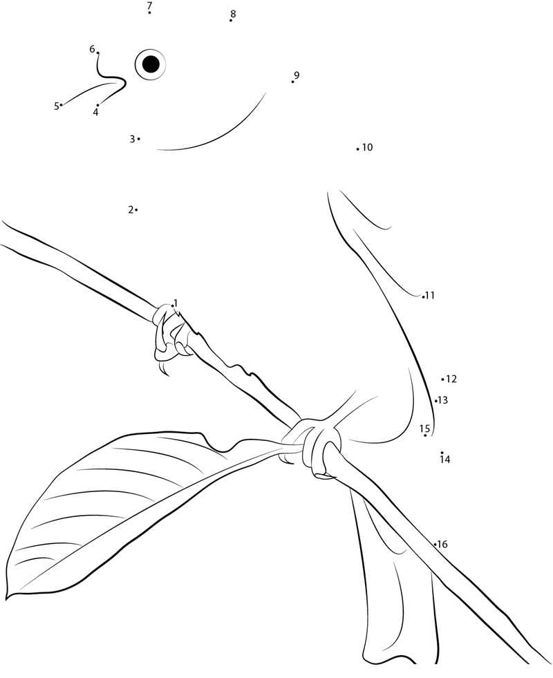 Female Yellowhammer dot to dot worksheets