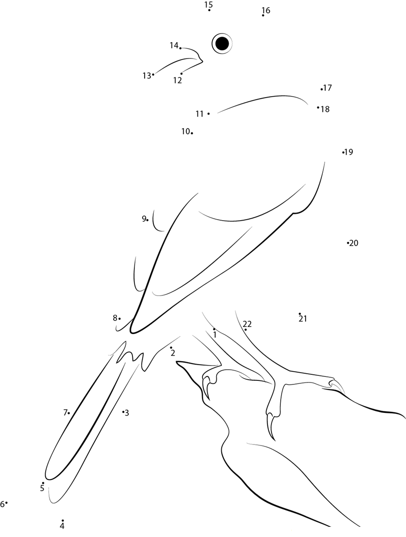 Nice Yellowhammer Bird dot to dot worksheets