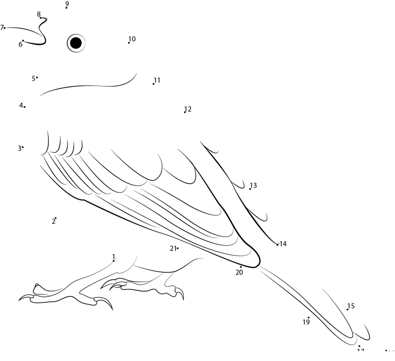 Sitting Yellowhammer dot to dot worksheets