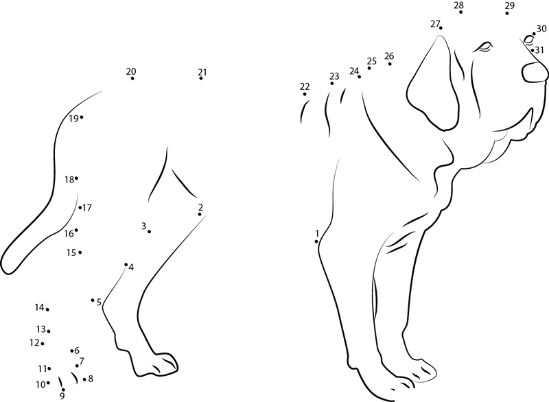 Brasileiro Dog dot to dot worksheets