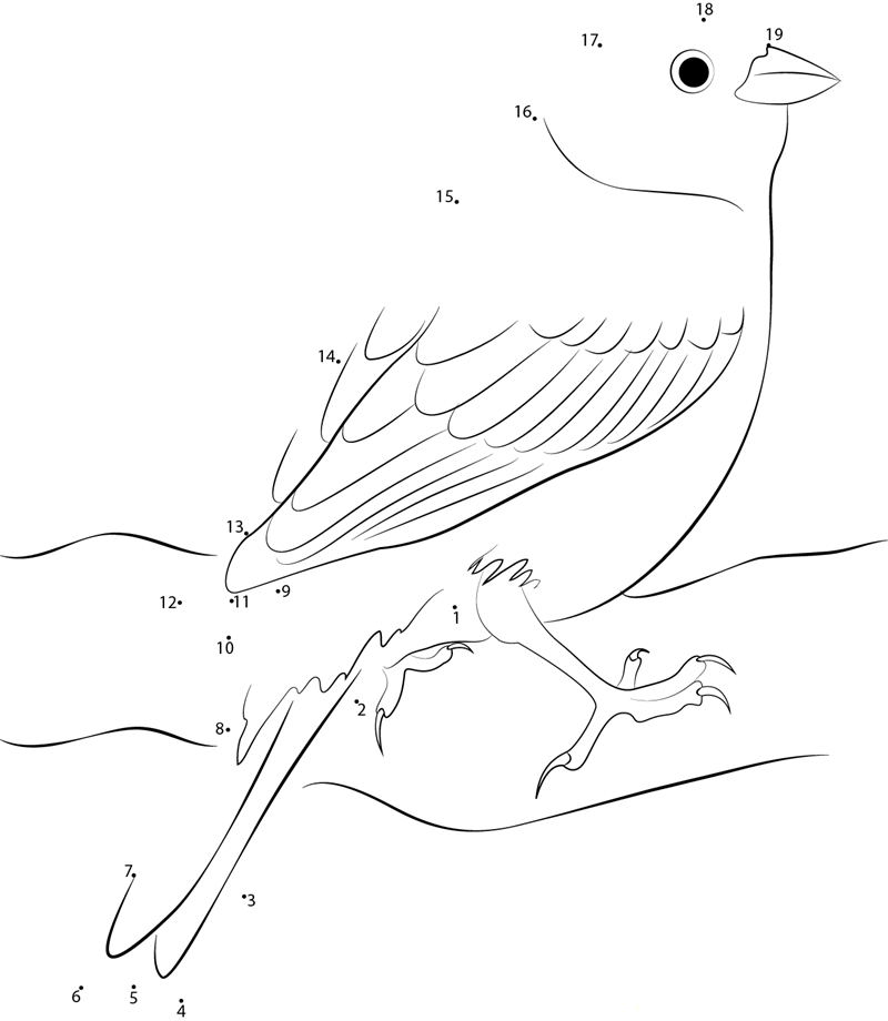 The Bright Bird Yellowhammer dot to dot worksheets