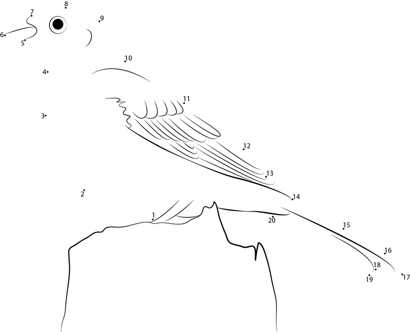 Yellowhammer In New Zealand dot to dot worksheets