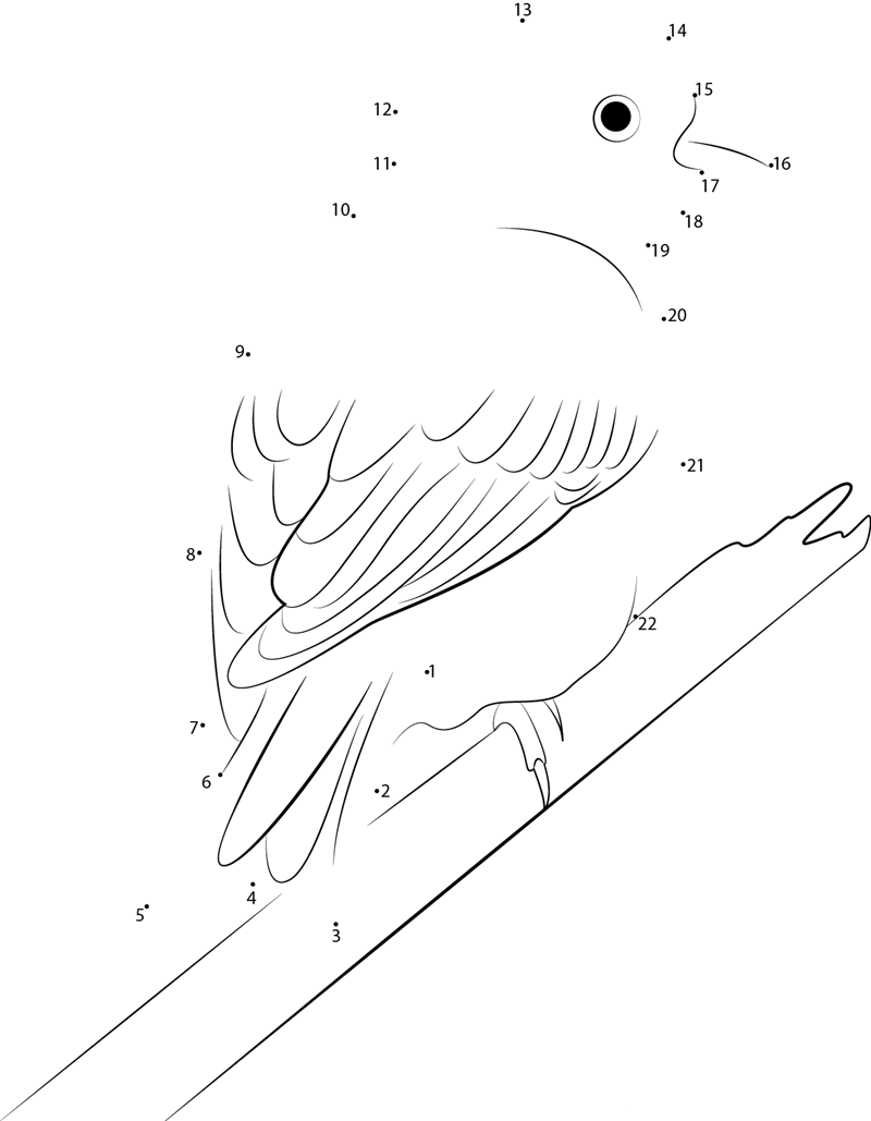 Yellowhammer On The Branch dot to dot worksheets