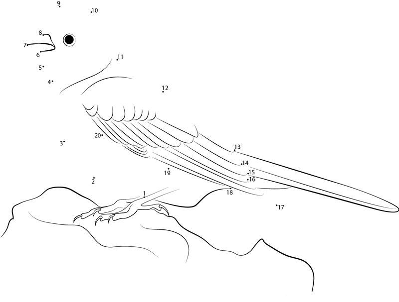 Yellowhammer Standing On Rock dot to dot worksheets