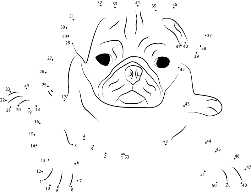 Bull Dog Face dot to dot worksheets