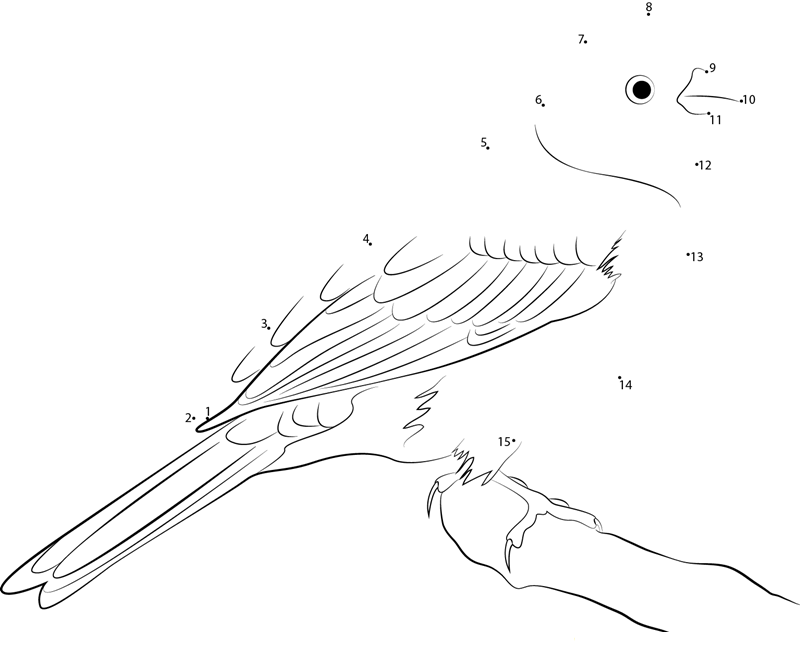 Yellowhammer State Bird Of Alabama dot to dot worksheets