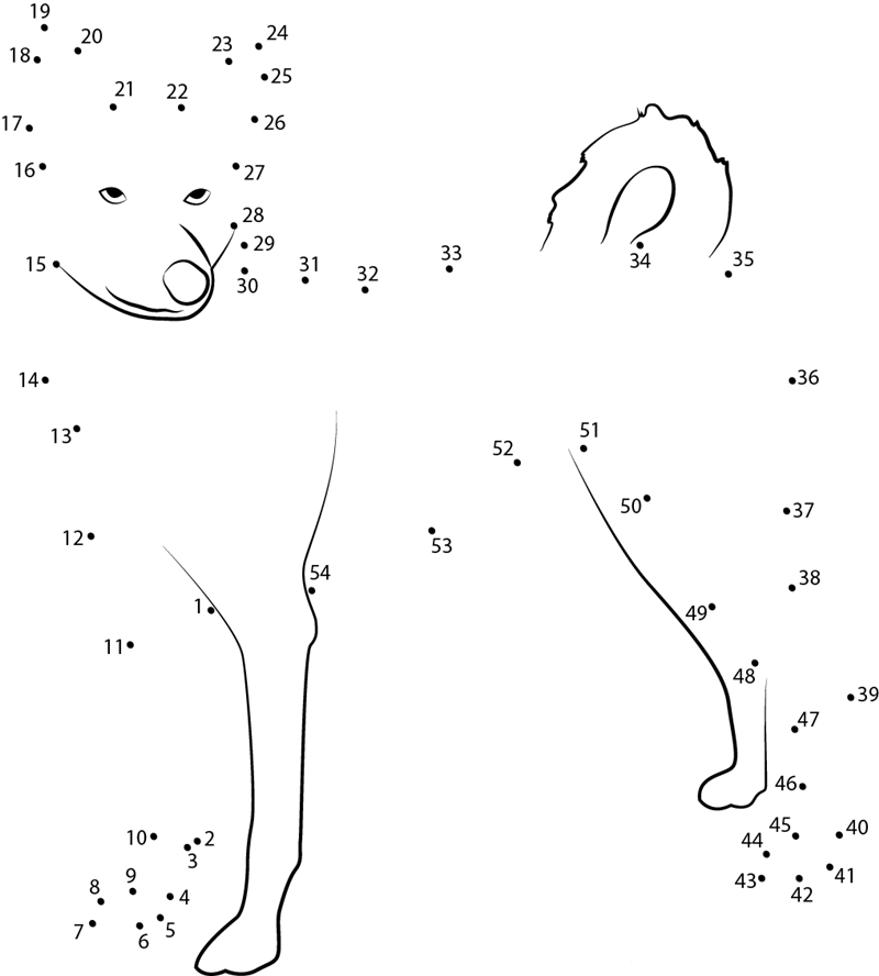 Canaan Dog Looking Me dot to dot worksheets