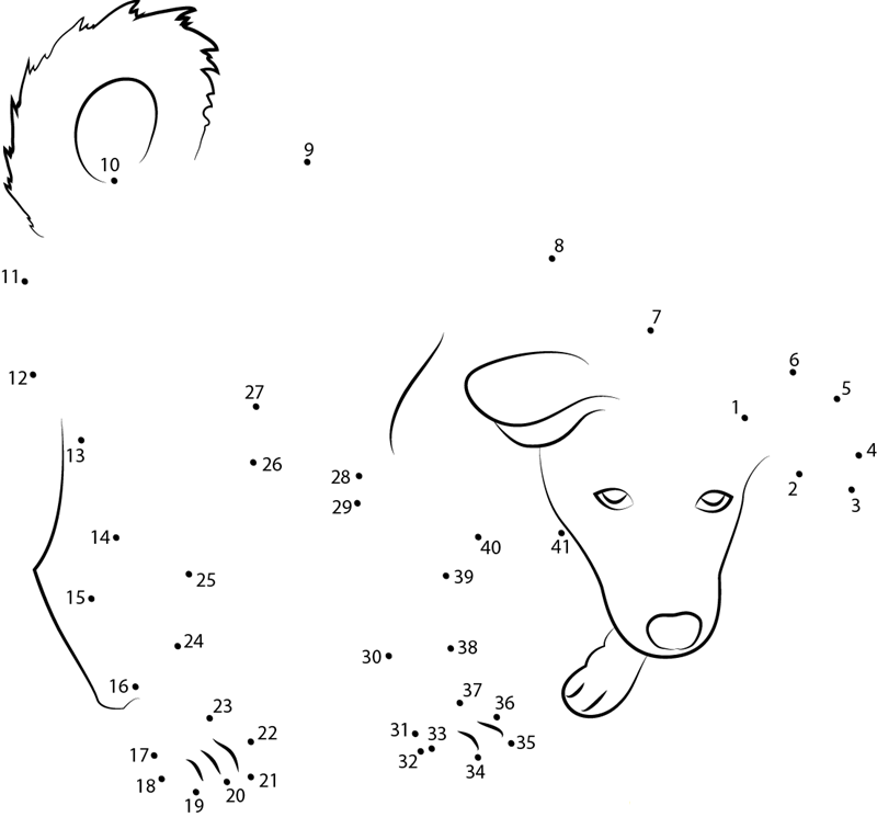 Canaan Dog Puppy dot to dot worksheets