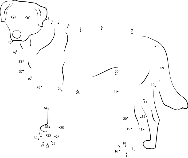 Cute Anatolian Shepherd Dog dot to dot worksheets