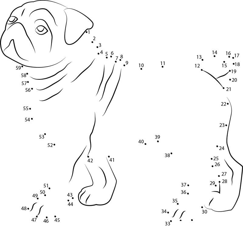 Cute Bull Dog dot to dot worksheets