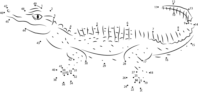 Schneider X27 S Alligator dot to dot worksheets