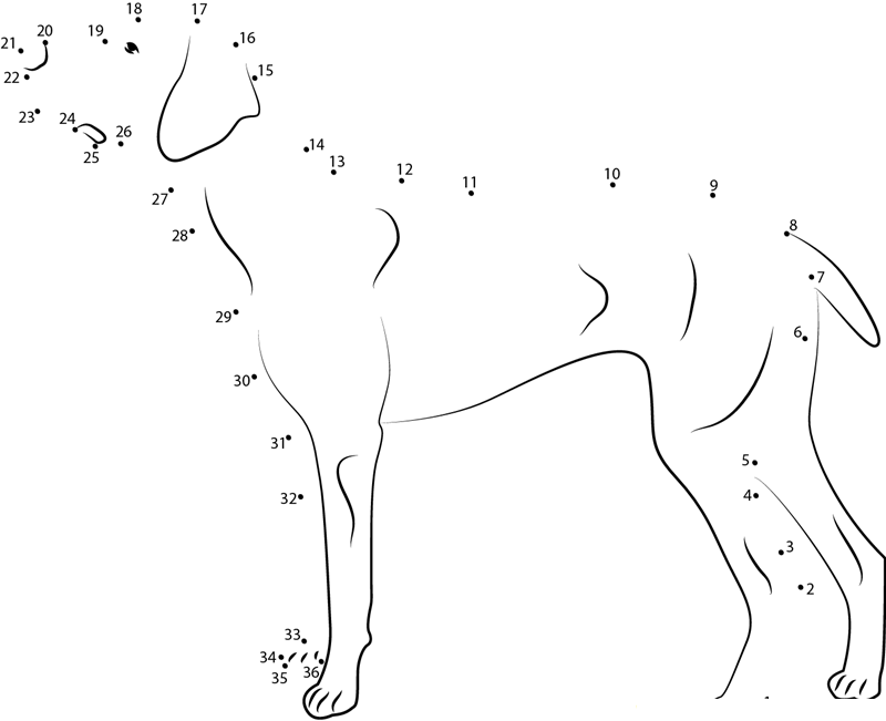 Doberman dot to dot worksheets