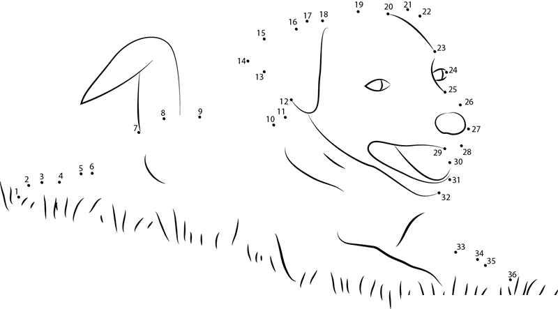 Dog Eat Grass dot to dot worksheets