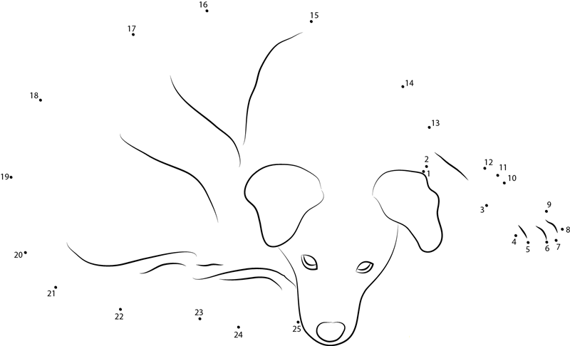 Dog In Home dot to dot worksheets