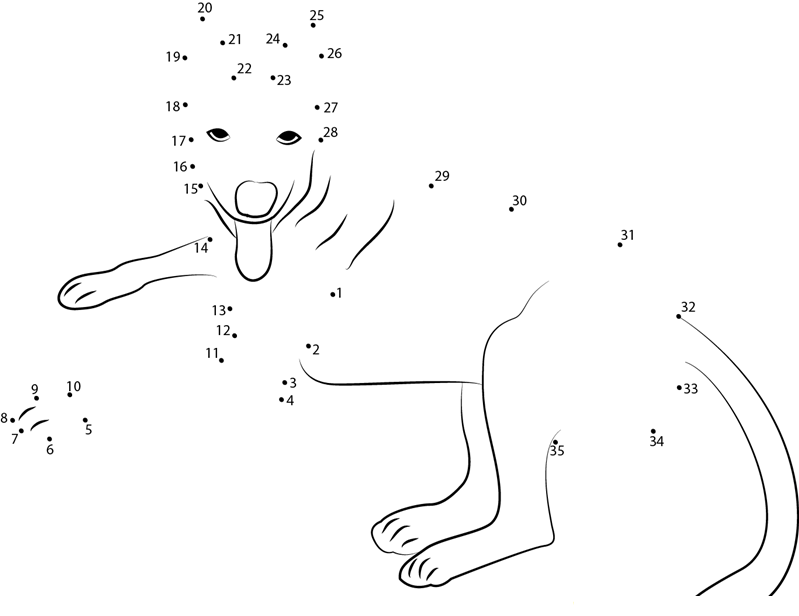 Dog Look You dot to dot worksheets