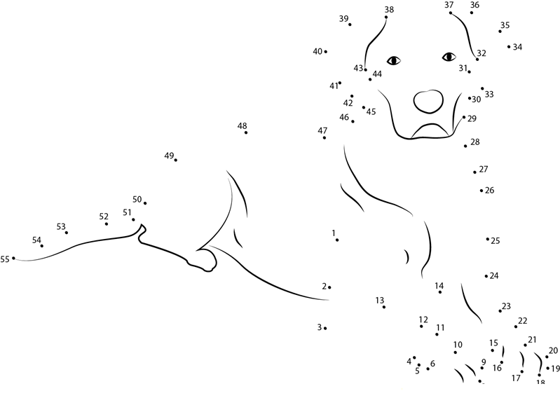 Dog Looking dot to dot worksheets