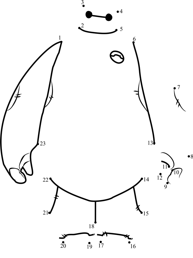 Baymax-Dot-To-Dot dot to dot worksheets